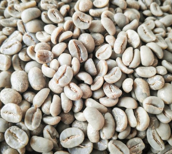 Full Washed Coffee